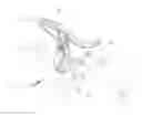Fig. 01 - Control module mounted on handlebar of bicycle