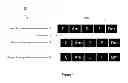 Fig. 02 - Vocal processing with accompaniment music input