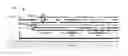 Fig. 01 - Glitch-free frequency modulation synthesis of sounds