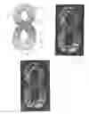 Fig. 03 - COMPOSITE IMAGE HEAT TRANSFERS