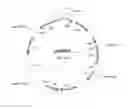 Fig. 10 - Organic-Inorganic Composite Materials as a Result of Biomineralization