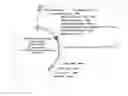 Fig. 12 - Organic-Inorganic Composite Materials as a Result of Biomineralization