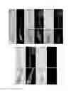 Fig. 24 - Organic-Inorganic Composite Materials as a Result of Biomineralization