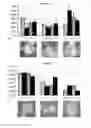 Fig. 30 - Organic-Inorganic Composite Materials as a Result of Biomineralization