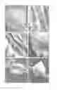 Fig. 33 - Organic-Inorganic Composite Materials as a Result of Biomineralization