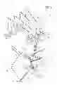 Fig. 02 - SEWING MACHINE AND PROCESS FOR SEWING TOGETHER, BY MEANS OF SAID SEWING MACHINE, AT LEAST TWO OVERLAPPING FLAPS OF TEXTILE