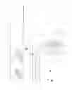 Fig. 08 - Universal indicator post