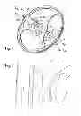 Fig. 05 - Archery bow, floating limb compound (FLC)