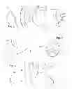 Fig. 06 - Archery bow, floating limb compound (FLC)