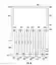 Fig. 11 - METHOD AND APPARATUS FOR CONTINUOUS PRODUCTION OF BALLOONS, AIRSHIPS, INFLATABLE STRUCTURAL MEMBERS AND OTHER INFLATABLE STRUCTURES