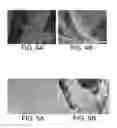 Fig. 03 - Superamphiphobic paper