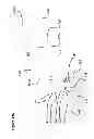 Fig. 14 - FLUID RECIRCULATING ECONOMIZER