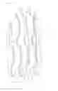 Fig. 09 - Wave fins