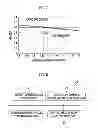 Fig. 06 - Heat source system and method of controlling flow rate of heating medium thereof