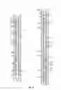 Fig. 05 - Wireline hydraulic driven mill bottom hole assemblies and methods of using same
