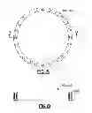 Fig. 18 - Downhole swivel apparatus and method