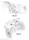 Fig. 10 - Folding vehicle