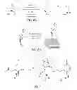 Fig. 07 - CATALYSIS CONTROLLED BY INTERFACIAL ELECTRIC FIELDS
