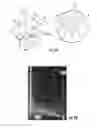 Fig. 08 - Devices with fluidic nanofunnels, associated methods, fabrication and analysis systems