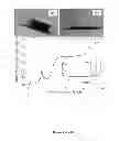 Fig. 44 - ASYMMETRIC SENSORS