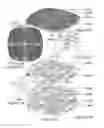 Fig. 32 - SYSTEM AND METHOD FOR USING ADSORBENT/ABSORBENT IN LOADING, STORING, DELIVERING, AND RETRIEVING GASES, FLUIDS, AND LIQUIDS