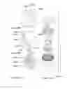 Fig. 40 - SYSTEM AND METHOD FOR USING ADSORBENT/ABSORBENT IN LOADING, STORING, DELIVERING, AND RETRIEVING GASES, FLUIDS, AND LIQUIDS