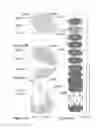 Fig. 43 - SYSTEM AND METHOD FOR USING ADSORBENT/ABSORBENT IN LOADING, STORING, DELIVERING, AND RETRIEVING GASES, FLUIDS, AND LIQUIDS