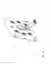 Fig. 24 - Case and mount system for handheld electronic device