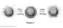Fig. 02 - Superparamagnetic colloids with enhanced charge stability for high quality magnetically tunable photonic structures