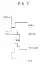 Fig. 07 - LASER APPARATUS AND METHOD OF IRRADIATING LASER BEAM USING THE SAME