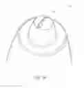 Fig. 15 - Fan orifice dispensing closure