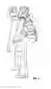 Fig. 04 - Hands-Free User Transport Harness