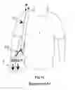 Fig. 04 - WEIGHT TRANSFER CARRYING DEVICE AND METHOD