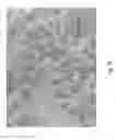 Fig. 35 - SOLDER ALLOYS