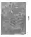 Fig. 41 - SOLDER ALLOYS