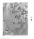 Fig. 43 - SOLDER ALLOYS