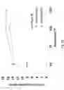 Fig. 49 - SOLDER ALLOYS