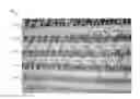 Fig. 01 - Method for encoding information in illumination patterns