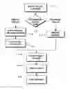 Fig. 01 - Image capture and identification system and process