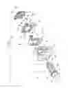 Fig. 07 - Seatbelt device