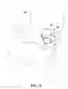 Fig. 08 - Apparatus for supporting a food item
