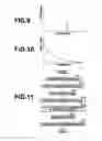 Fig. 05 - PERIODIC PATTERN DETECTION APPARATUS AND METHOD