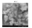 Fig. 05 - Cathode active material for lithium ion secondary battery including lithium manganese borate compound and manganese oxide, and method for producing the same