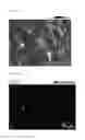 Fig. 04 - Composite and Molded Product Thereof
