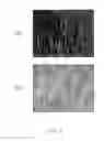 Fig. 07 - Gallium nitride-based light emitting diode