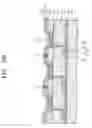 Fig. 06 - Organic light-emitting display apparatus and method of manufacturing the same