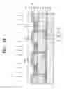 Fig. 08 - Organic light-emitting display apparatus and method of manufacturing the same