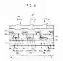 Fig. 05 - Organic light emitting display device including graded functional layers