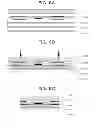 Fig. 07 - Crystal resonator, and production method therefor