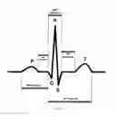 Fig. 02 - Device and method for continuous biometric recognition based on electrocardiographic signals